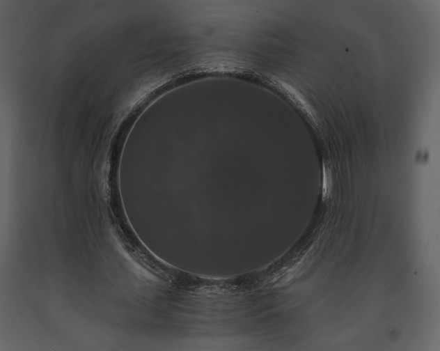 X0000091680627200708231418