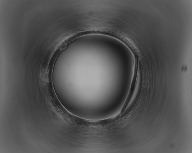 X0000091680628200708231418