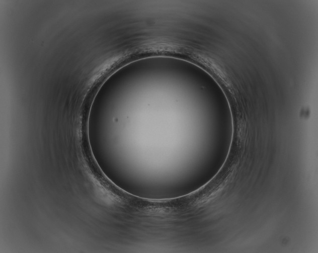 X0000091680629200708231418