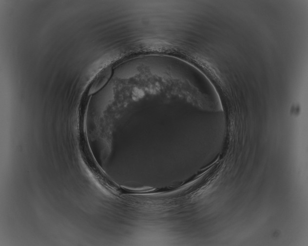 X0000091680630200708231418