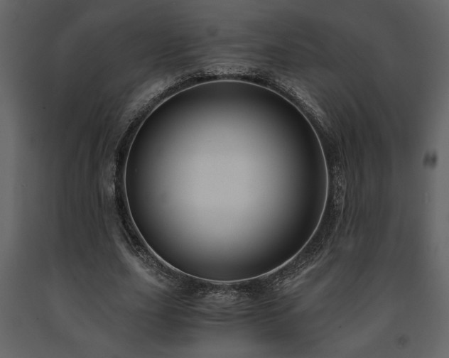 X0000091680631200708231418