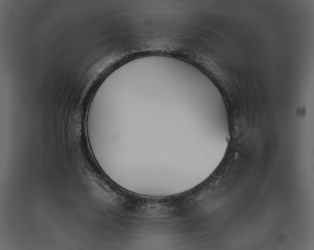 X0000091680632200708231418
