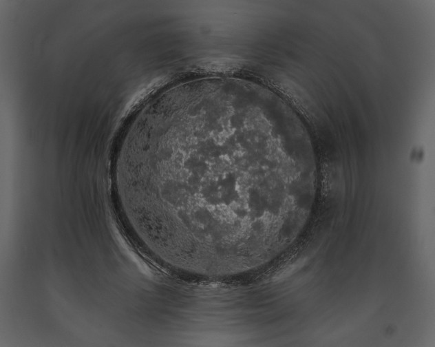 X0000091680634200708231418