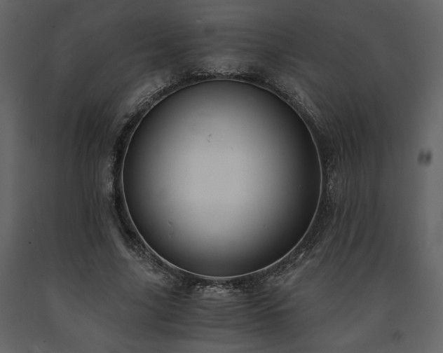 X0000091680635200708231418