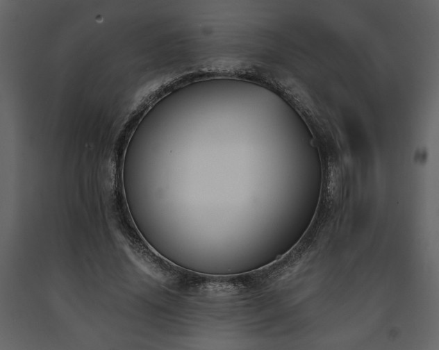 X0000091680636200708231418