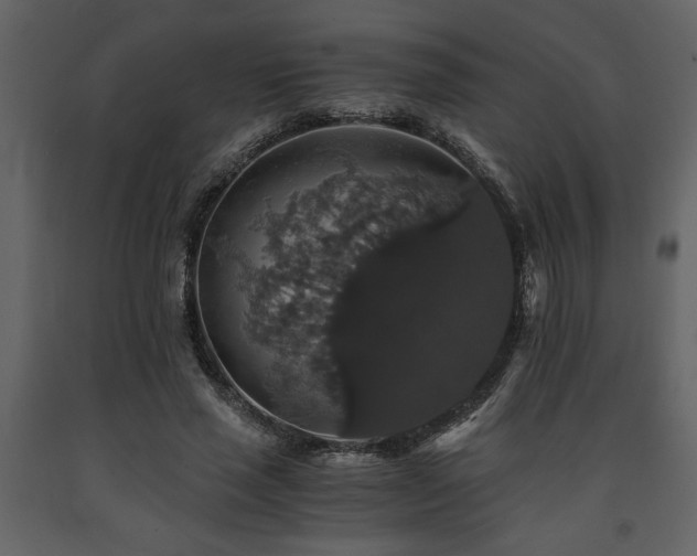 X0000091680637200708231418