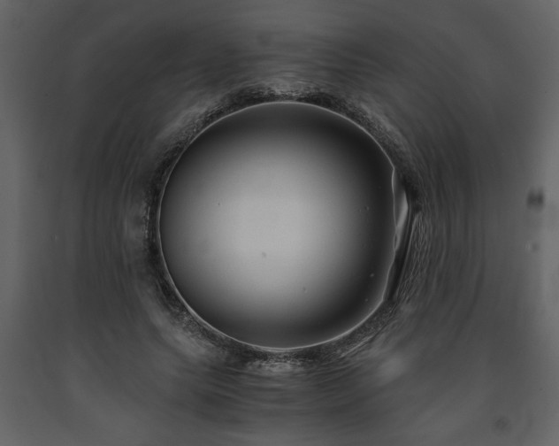 X0000091680639200708231418