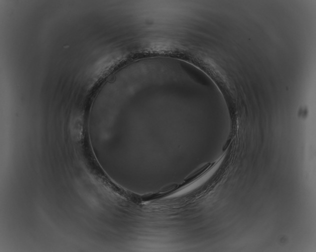 X0000091680640200708231418