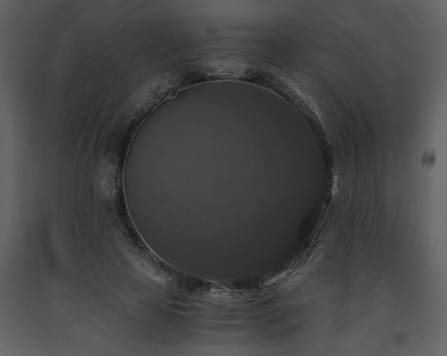 X0000091680641200708231418