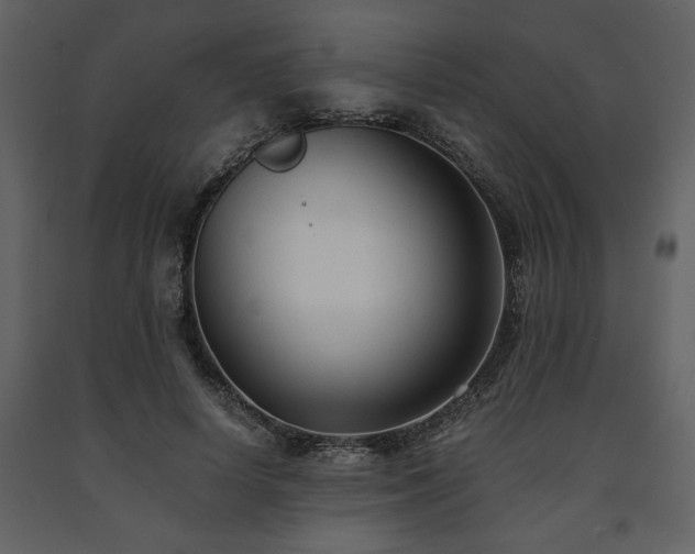 X0000091680642200708231418