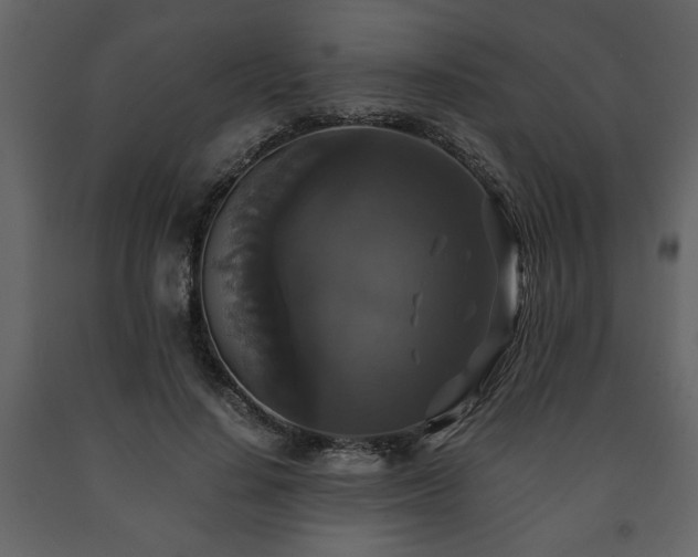 X0000091680644200708231418
