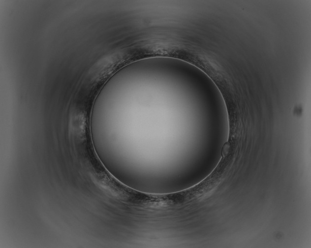 X0000091680646200708231418