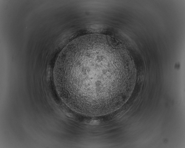 X0000091680647200708231418