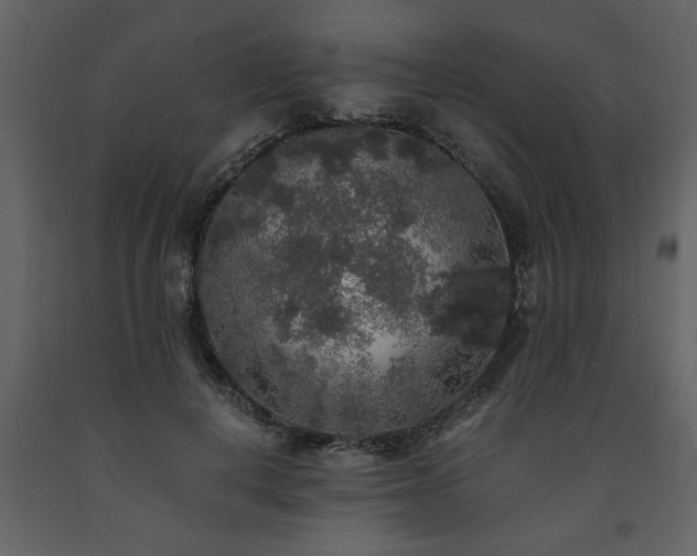 X0000091680648200708231418