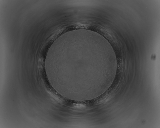 X0000091680649200708231418