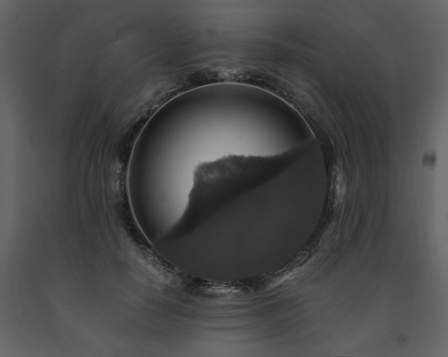 X0000091680650200708231418