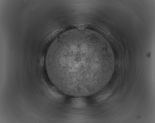 X0000091680652200708231418