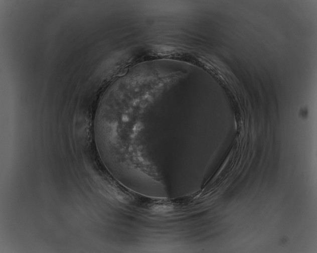 X0000091680653200708231418