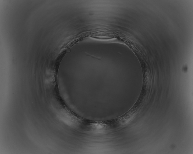 X0000091680654200708231418
