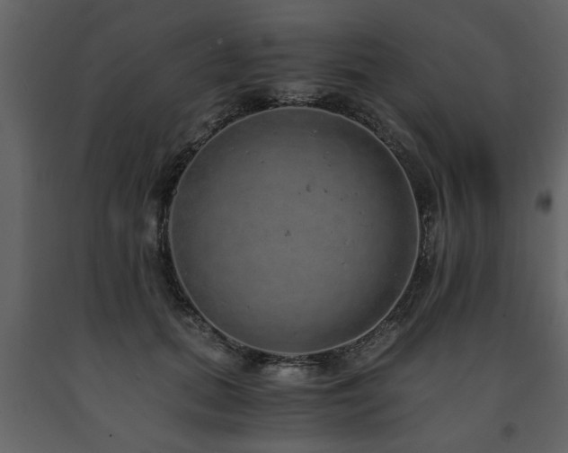 X0000091680655200708231418