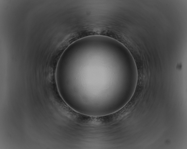 X0000091680656200708231418