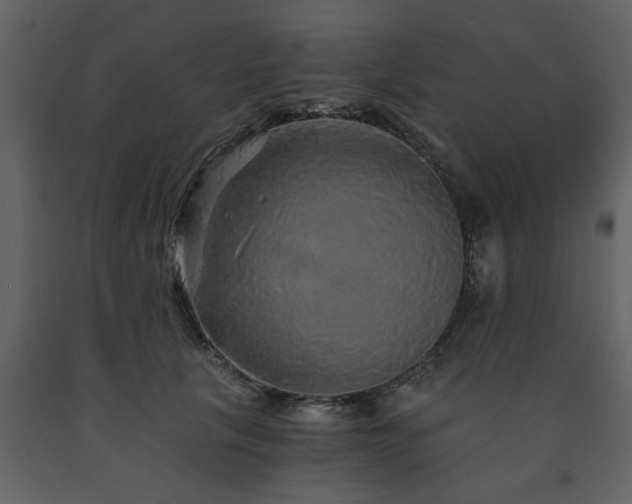 X0000091680657200708231418
