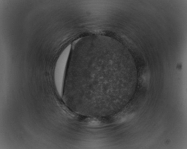 X0000091680658200708231418
