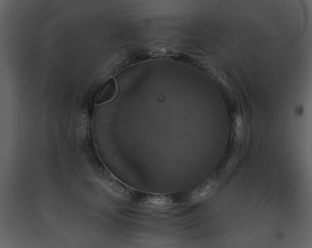 X0000091680659200708231418