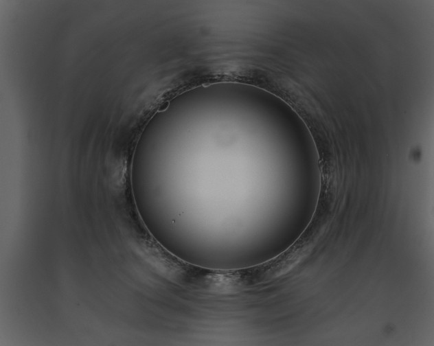 X0000091680660200708231418