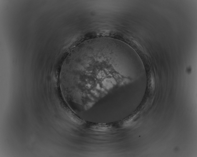 X0000091680661200708231418