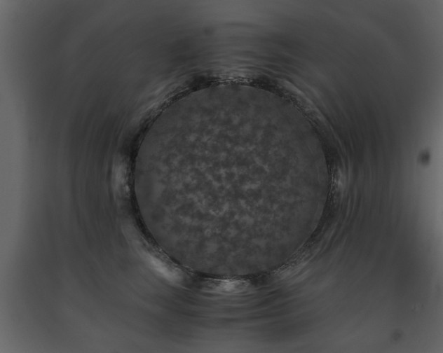 X0000091680663200708231418