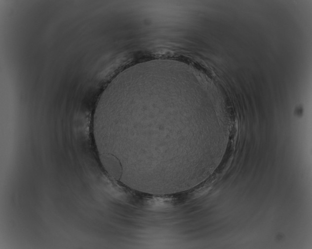 X0000091680664200708231418