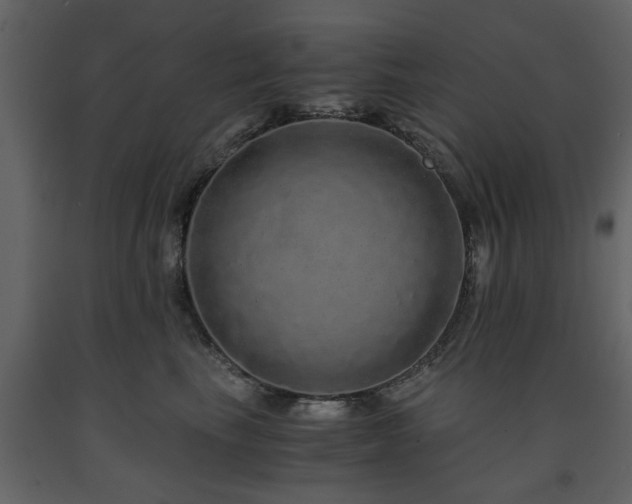 X0000091680665200708231418