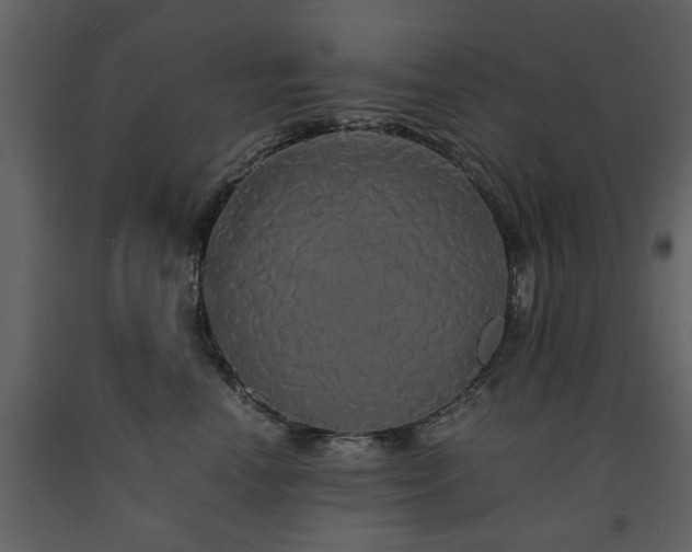 X0000091680666200708231418