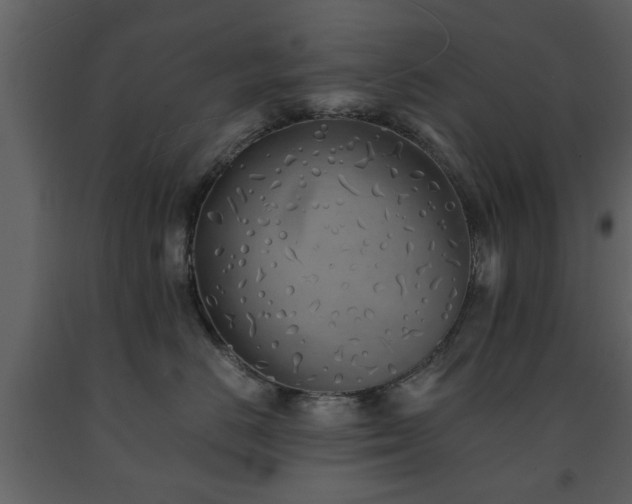 X0000091680670200708231418