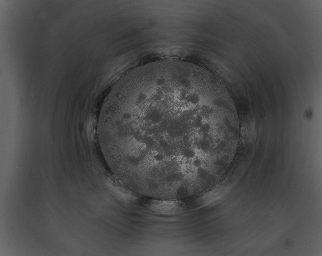 X0000091680671200708231418