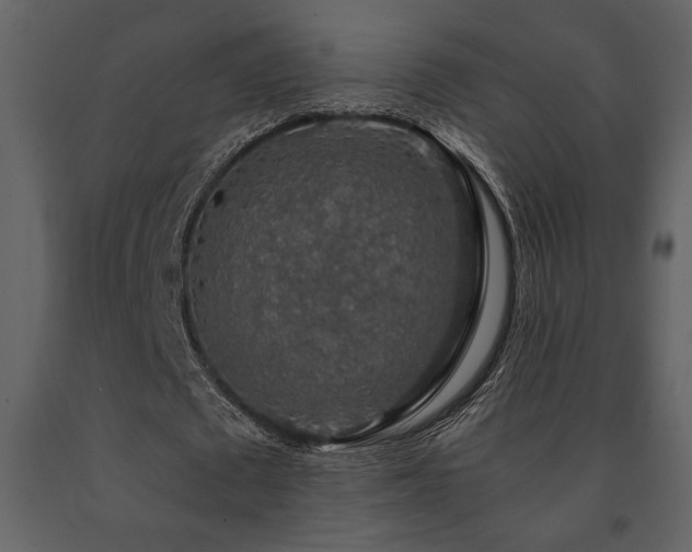 X0000091680673200708231418