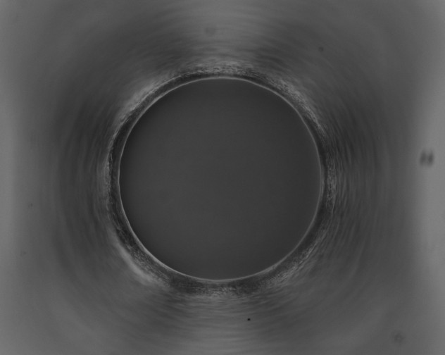 X0000091680674200708231418