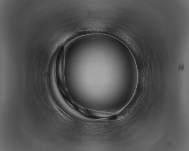 X0000091680677200708231418