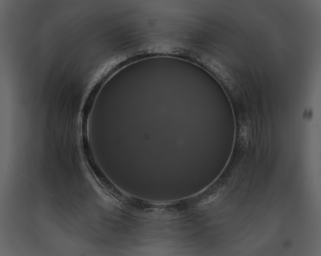 X0000091680678200708231418