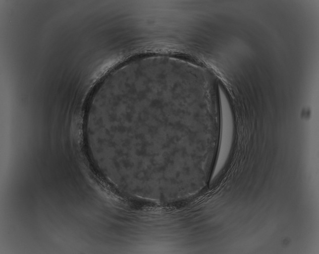 X0000091680679200708231418