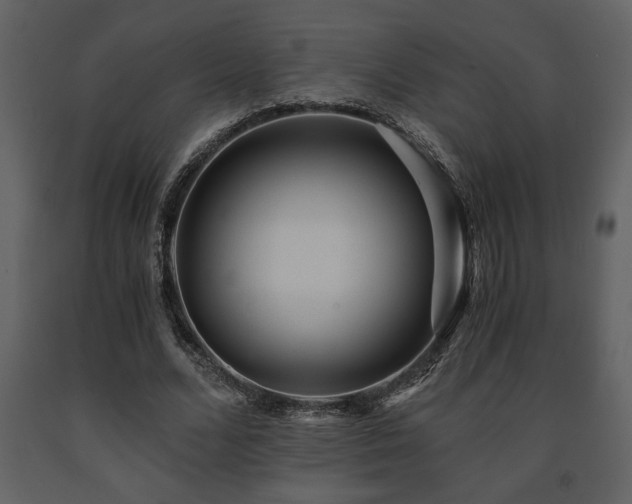 X0000091680680200708231418