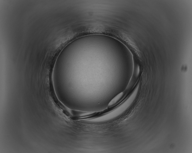 X0000091680681200708231418