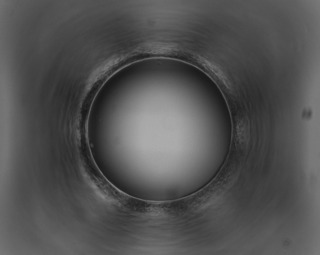 X0000091680682200708231418