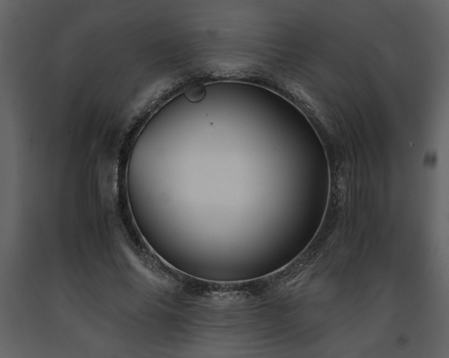 X0000091680686200708231418