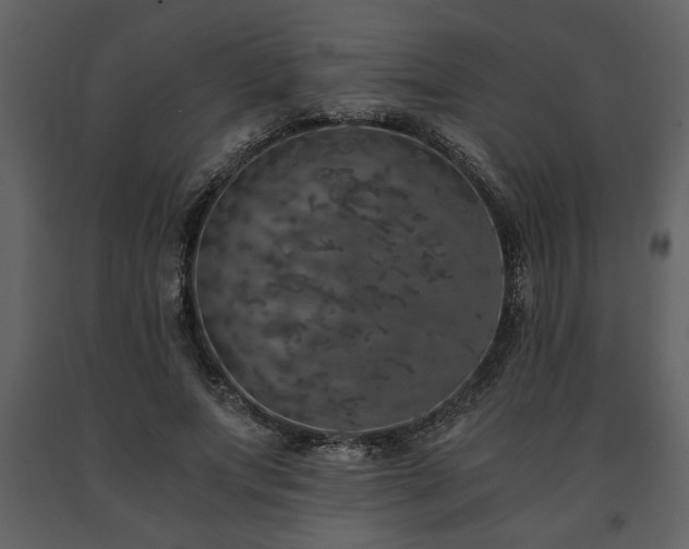 X0000091680687200708231418