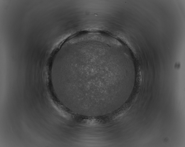 X0000091680688200708231418