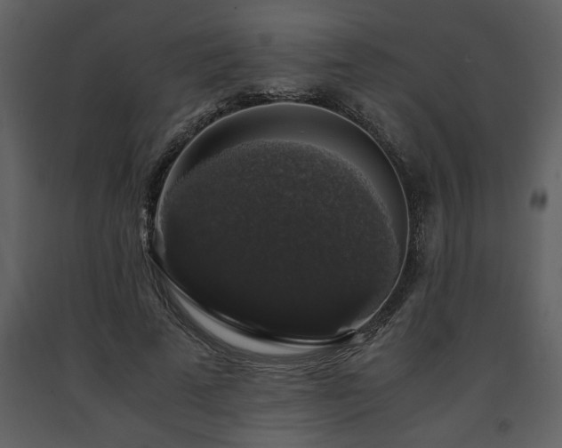 X0000091680689200708231418