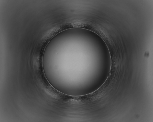 X0000091680690200708231418