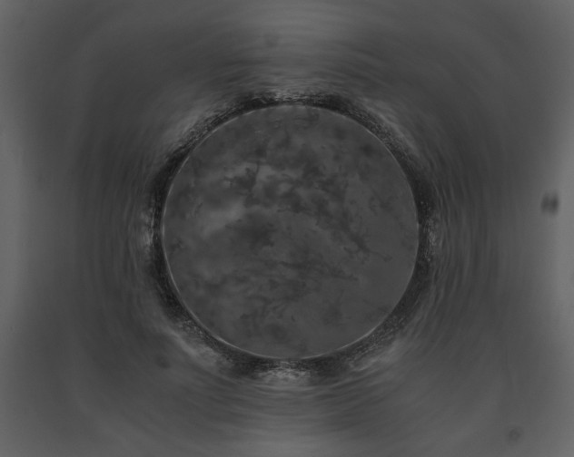 X0000091680691200708231418